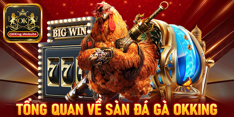 Khái quát tổng quan chung về sàn đặt cược đá gà OKKing 